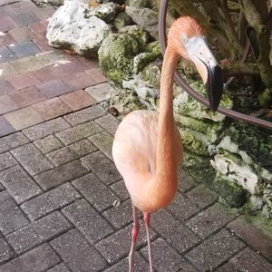 Meet your Posher, Sandy